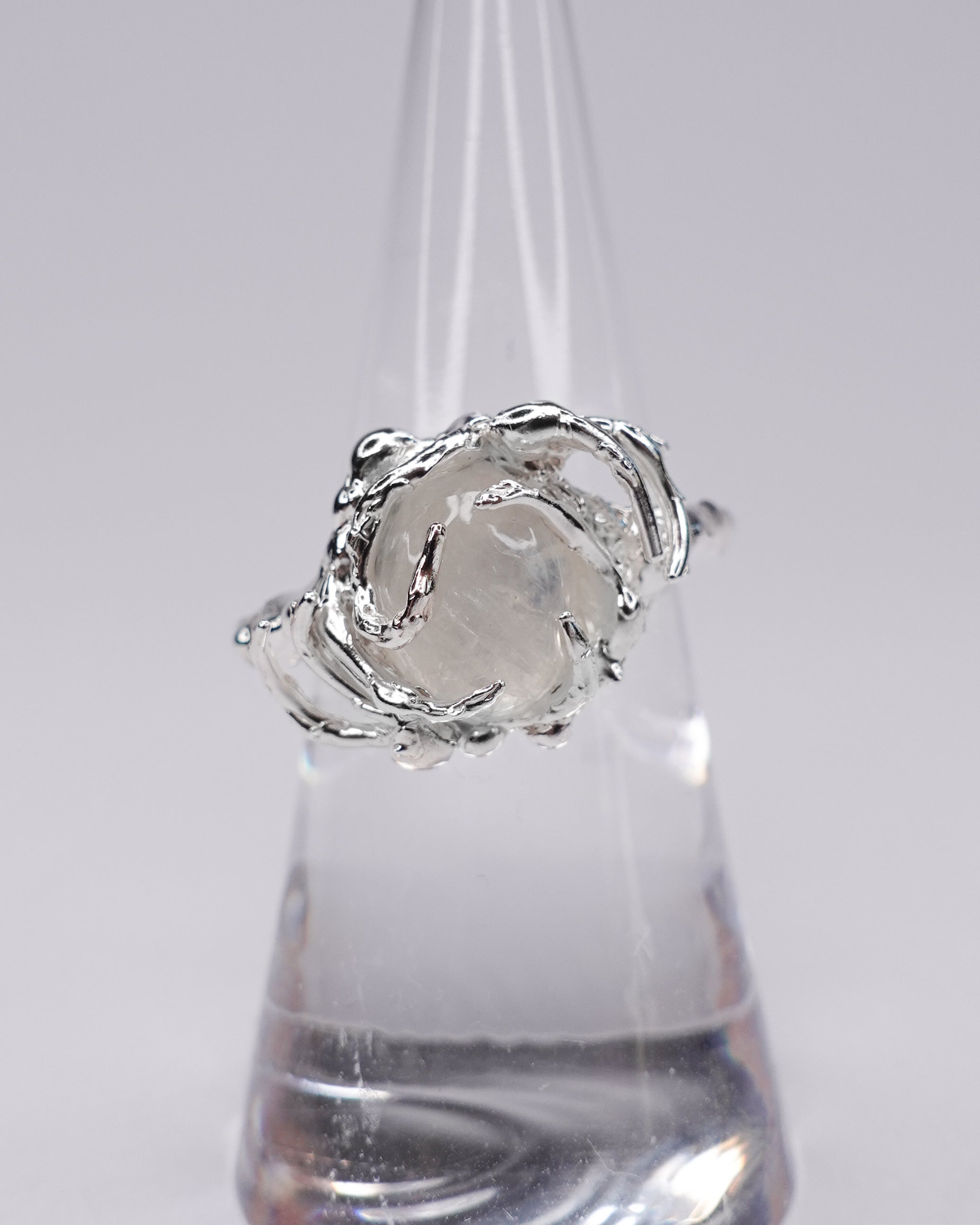 Seed Ring