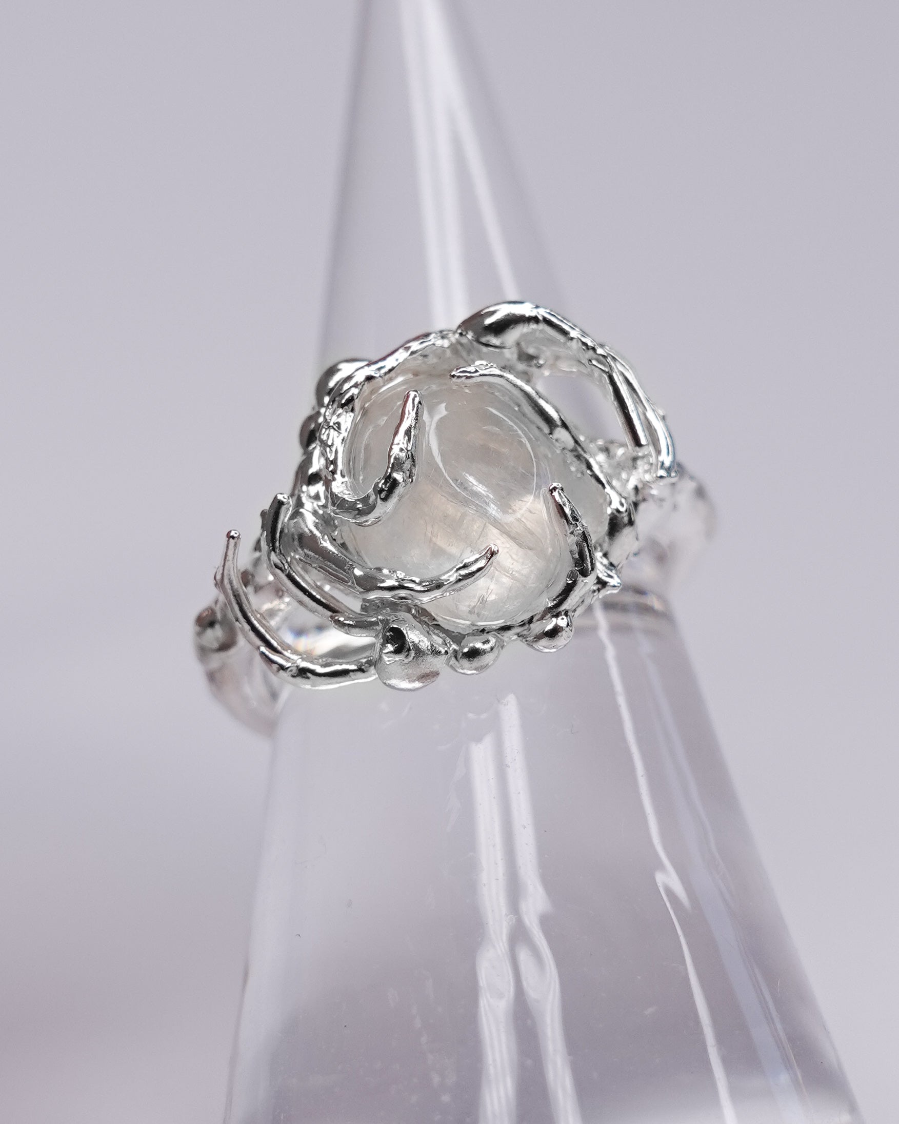Seed Ring