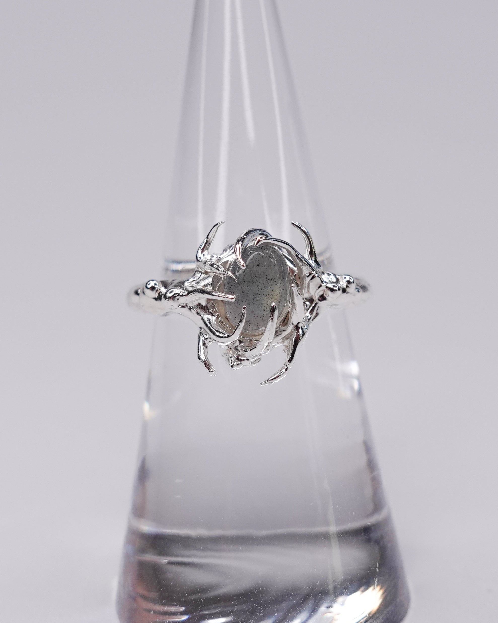 Iris  Ring