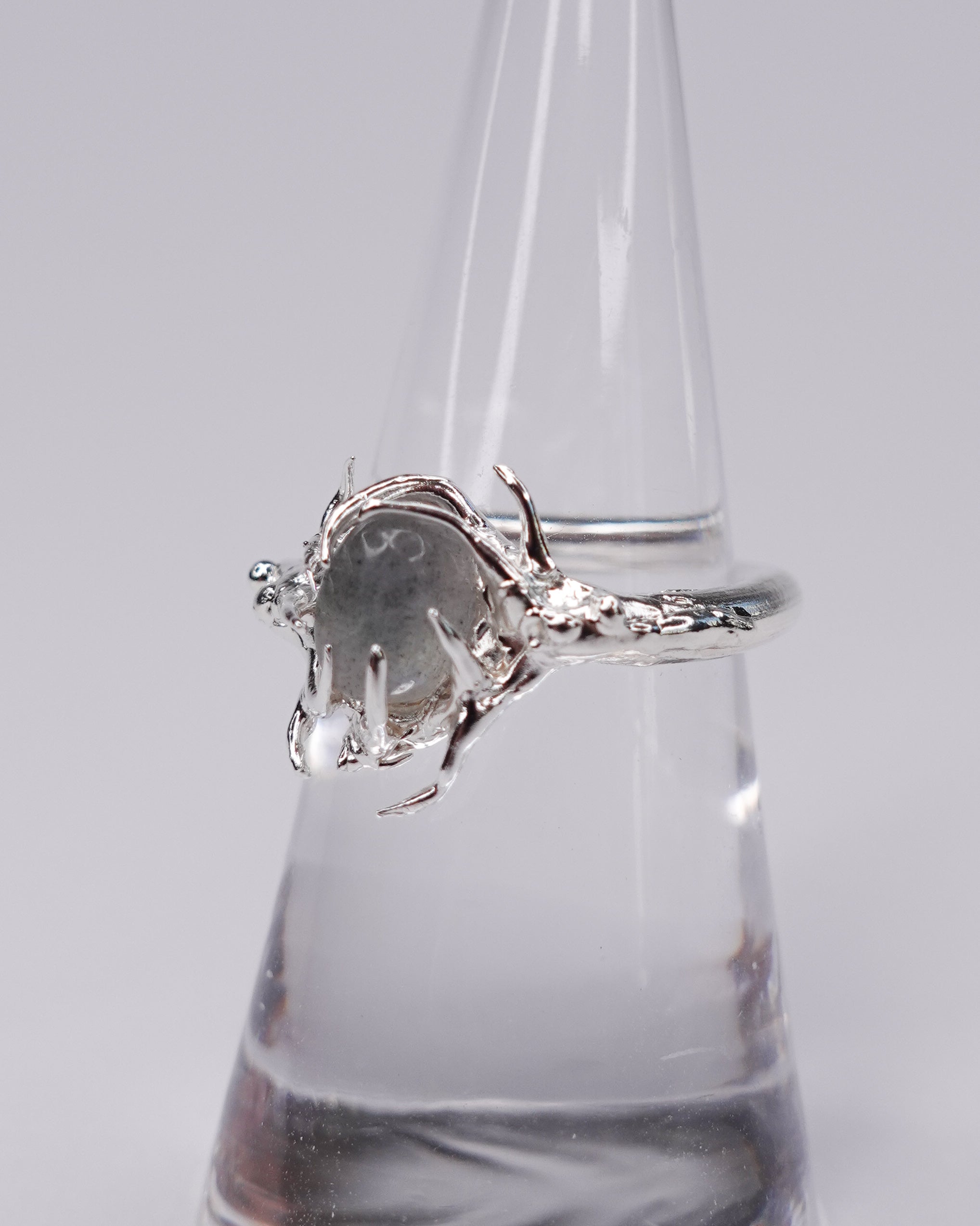 Iris  Ring