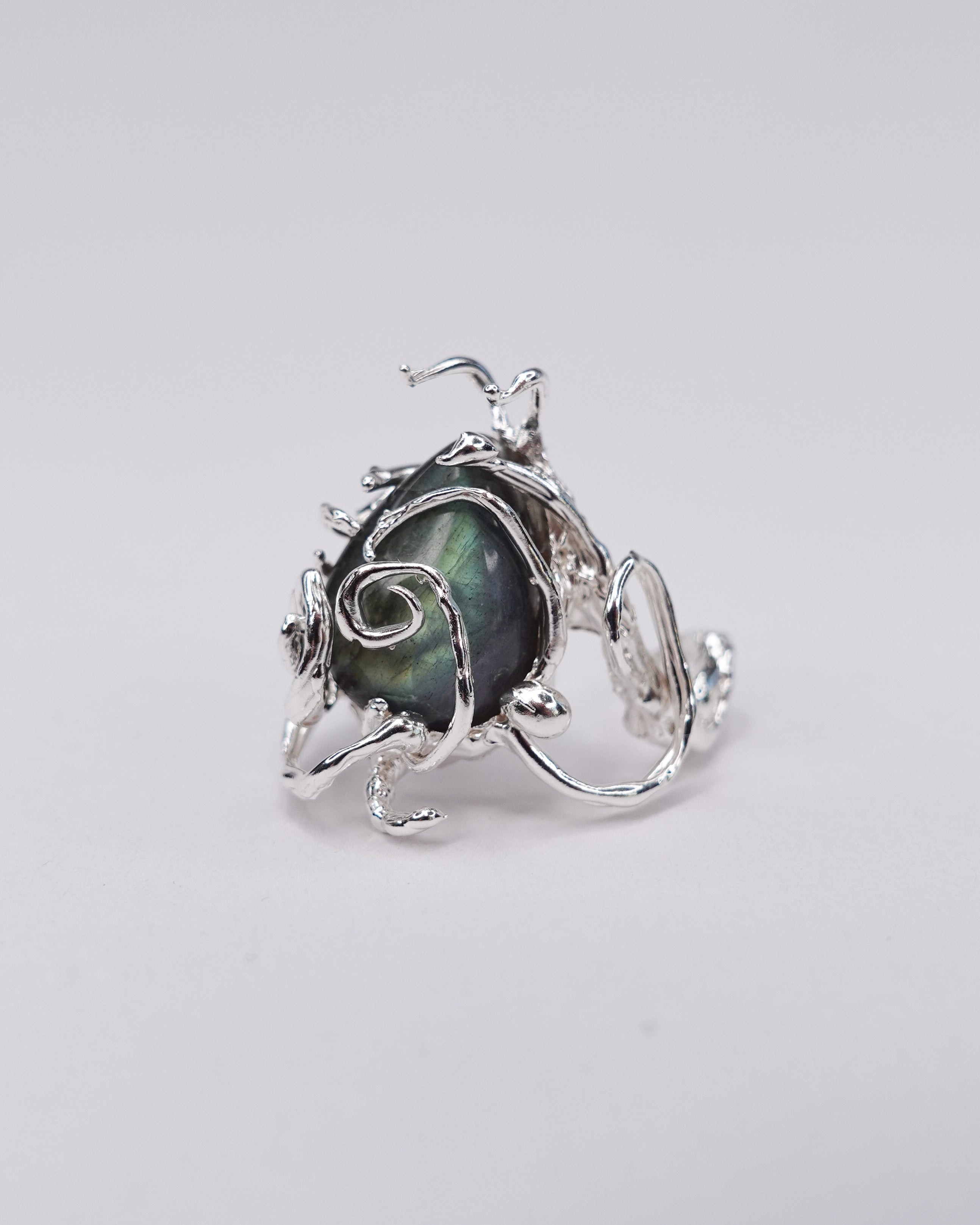 Hatchling Ring 2