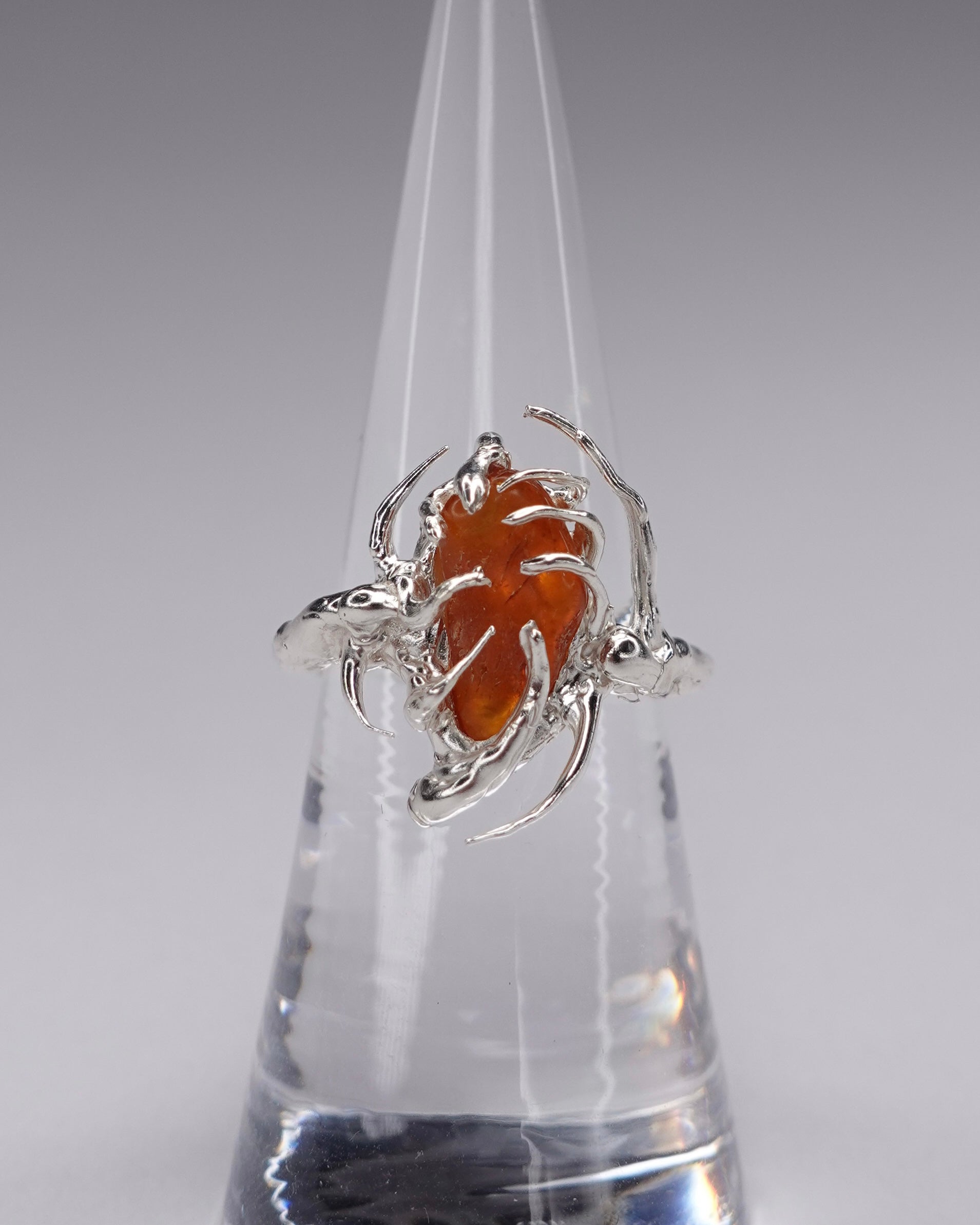 Arachnid Ring