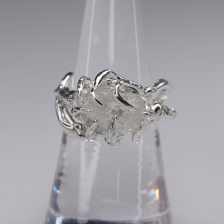 AV Ring