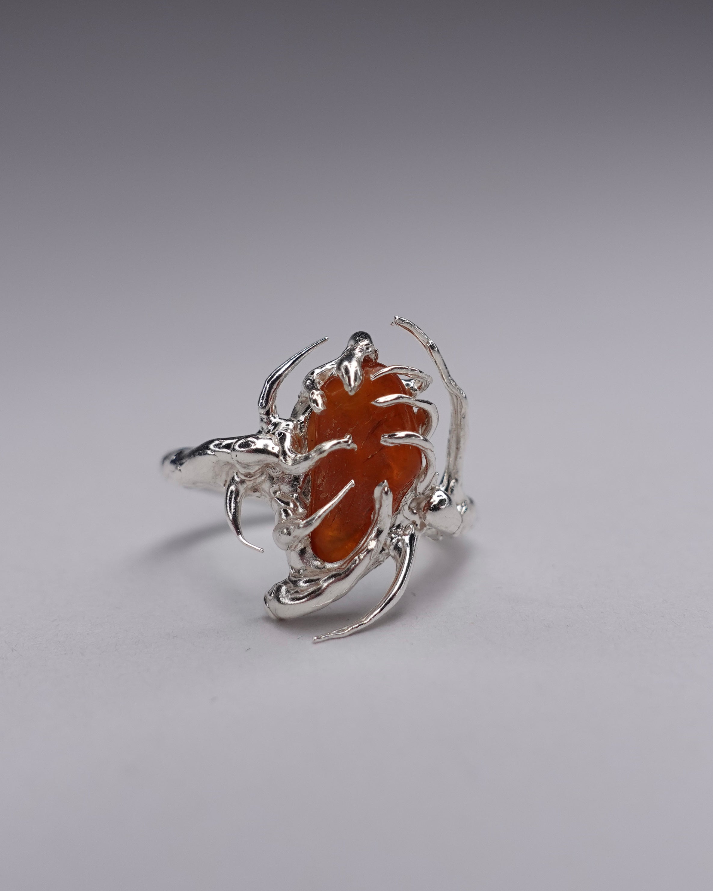 Arachnid Ring