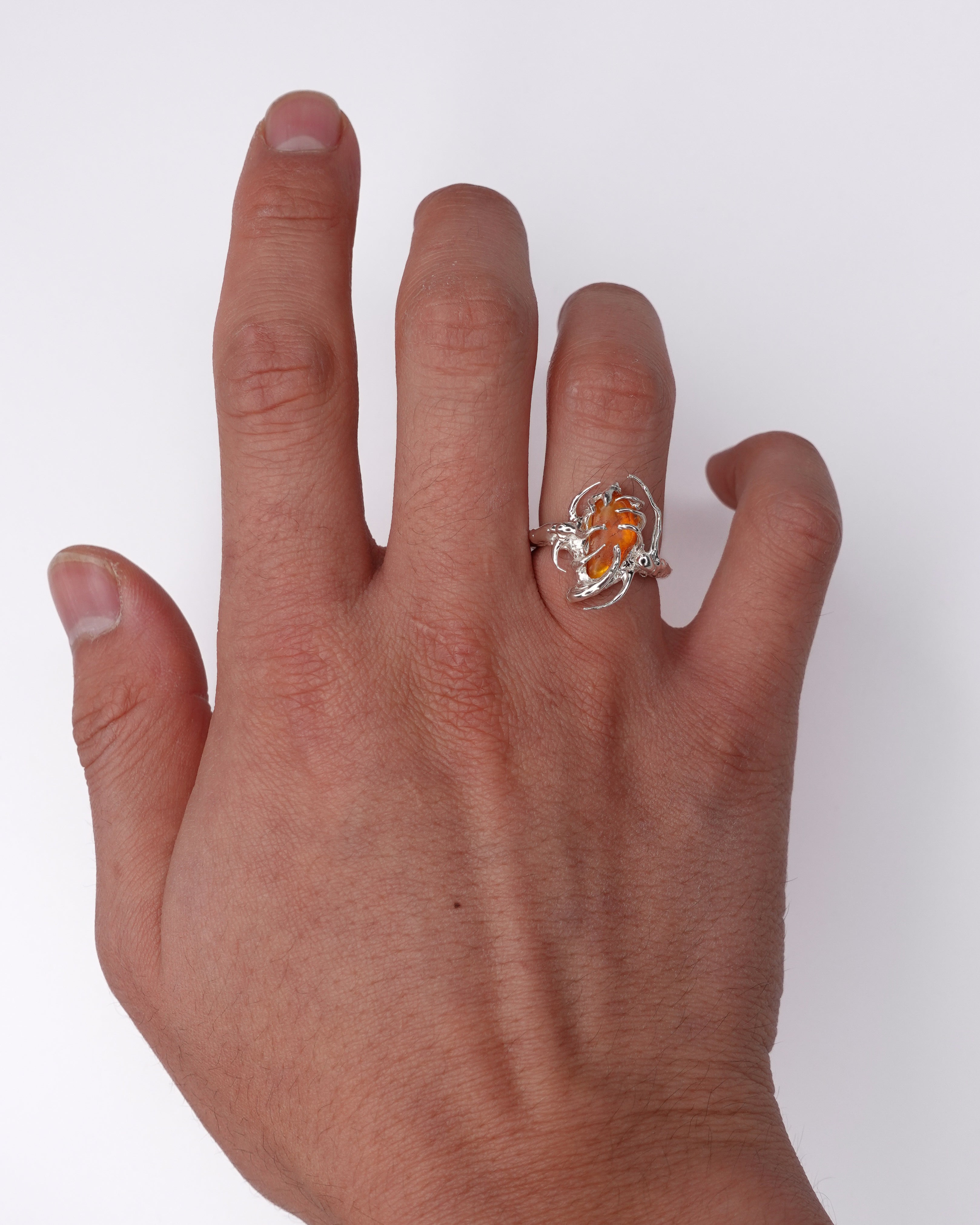 Arachnid Ring