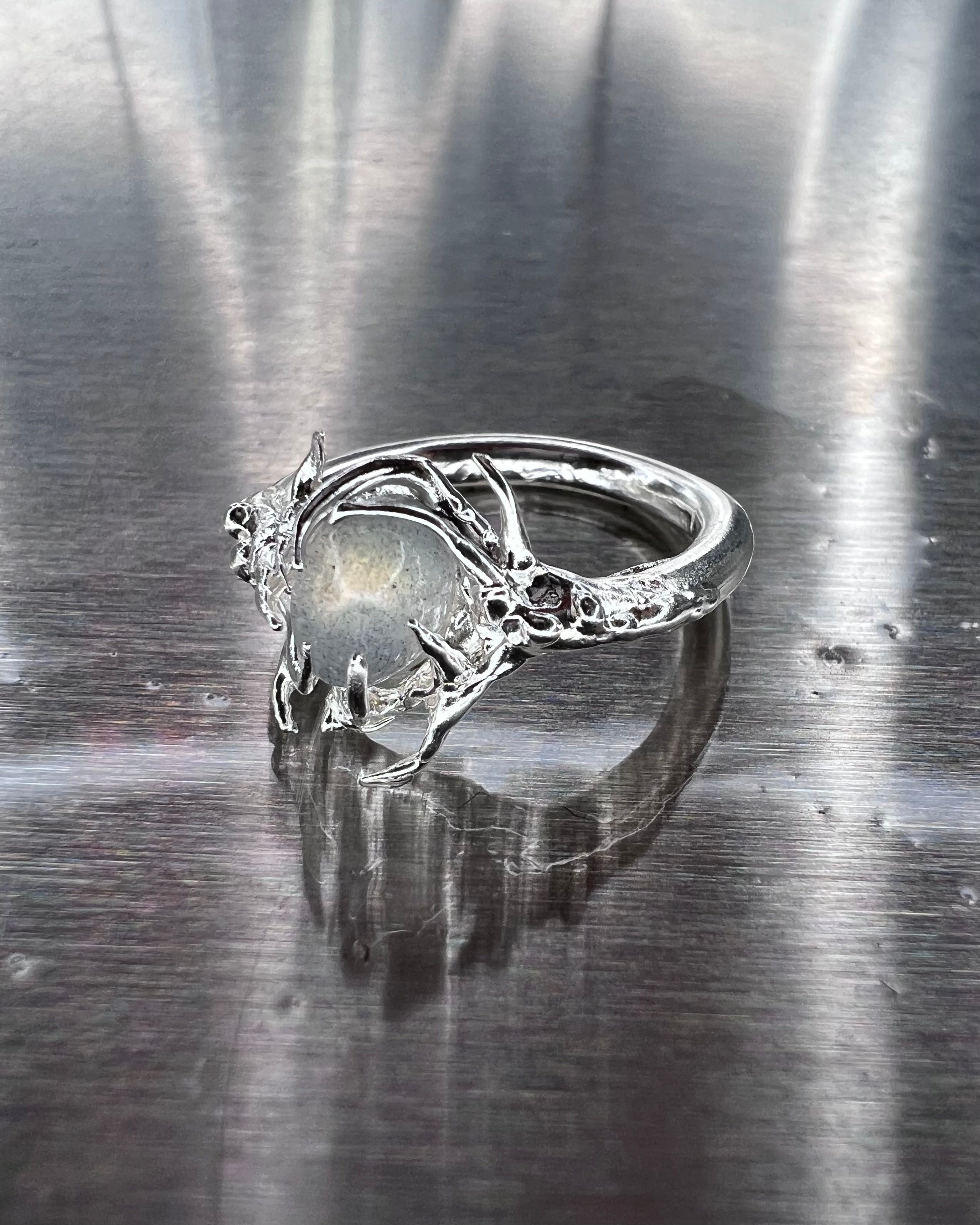 Iris  Ring