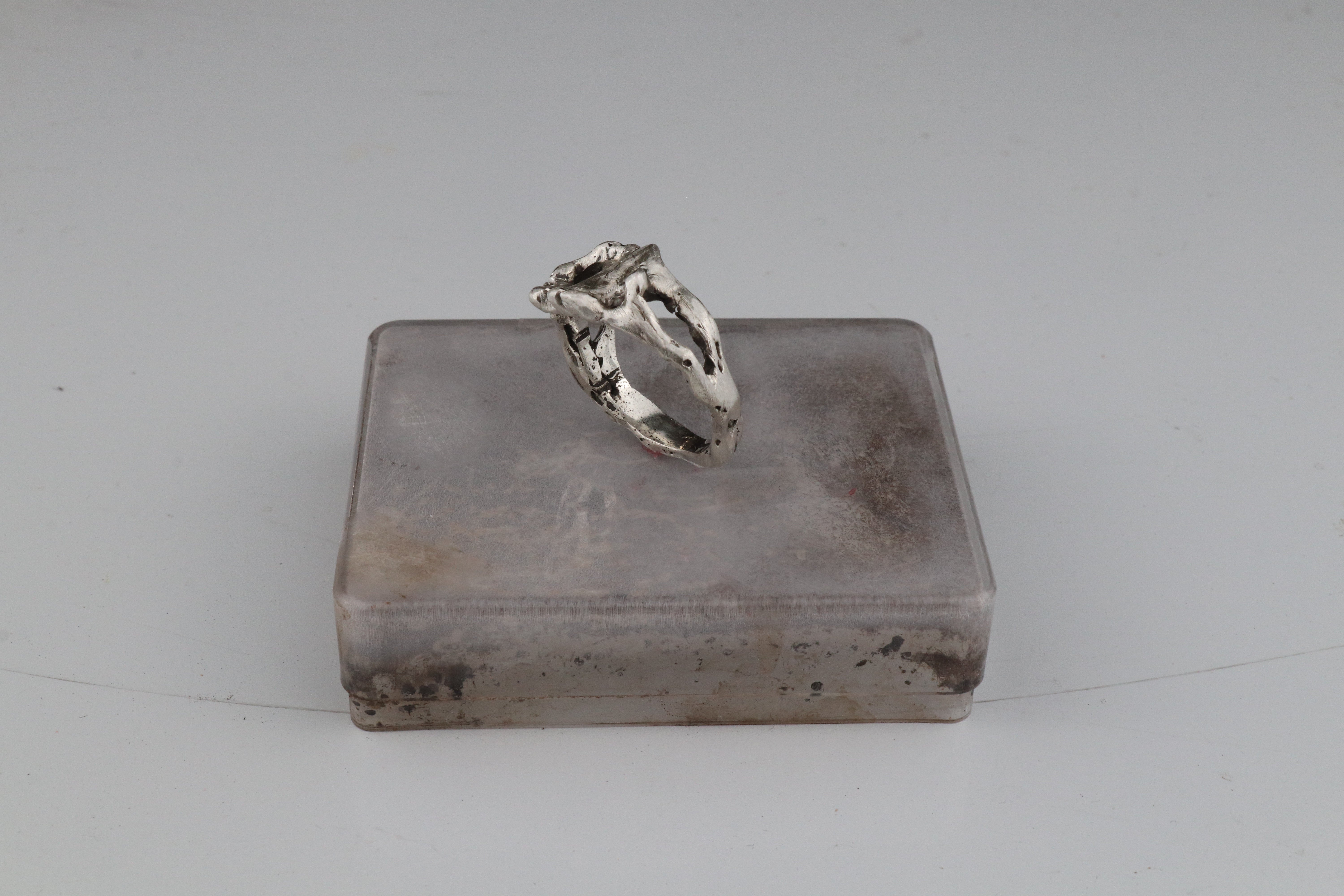 01-PIECE SERIES Femur Ring