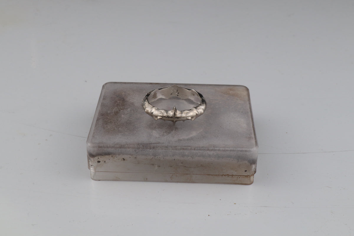 01-PIECE SERIES Xylem Ring