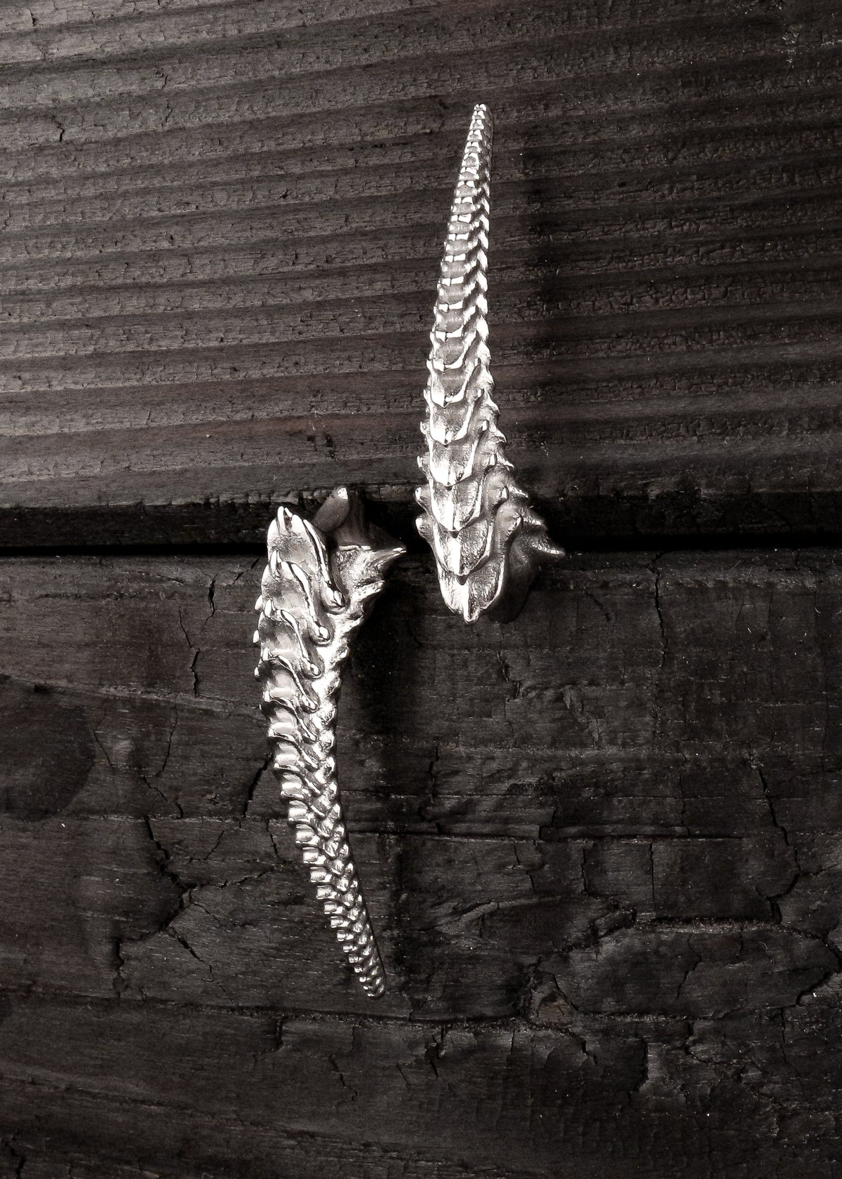 CERVICAL EAR STUDS / 316L
