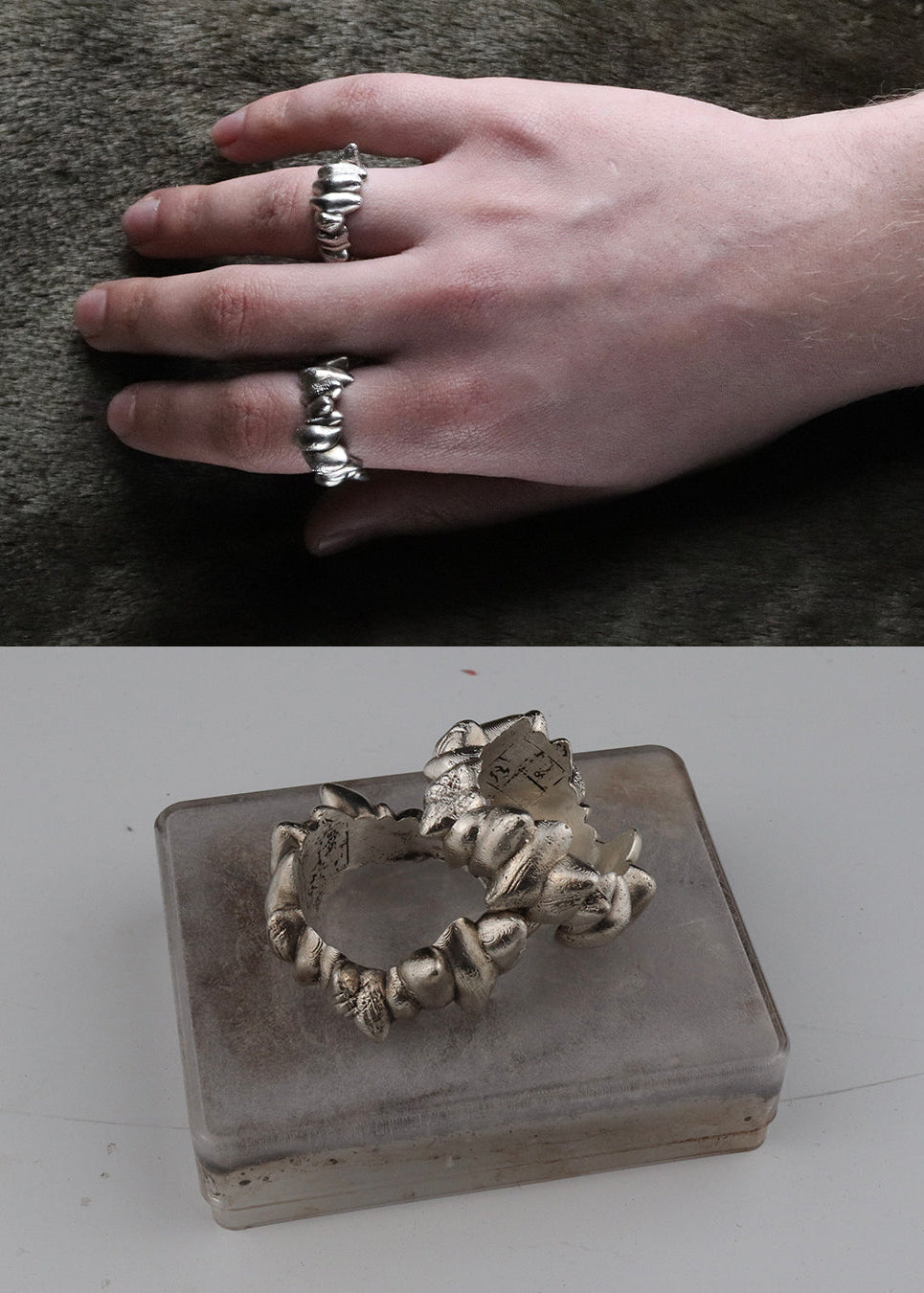 01-PIECE SERIES Canine Ring